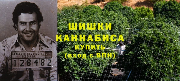 метадон Лагань