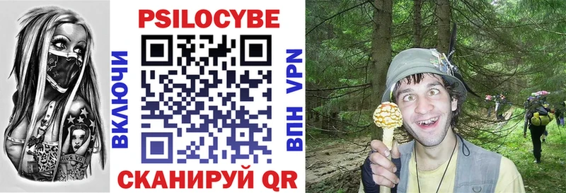 Галлюциногенные грибы мицелий  Мелеуз 