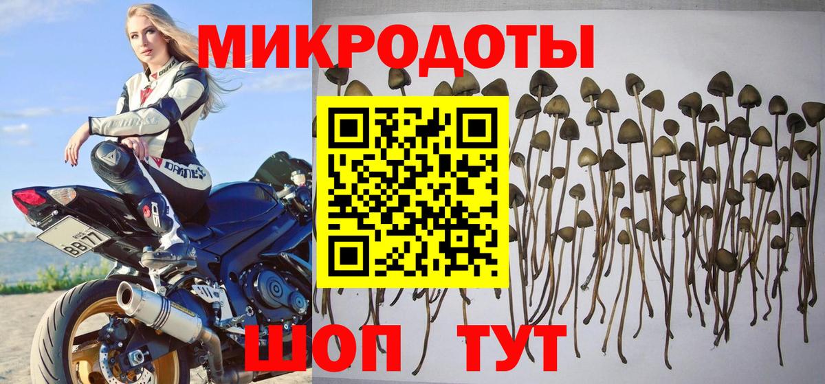 Мелеуз  Галлюциногенные грибы Cubensis  Псилоцибиновые грибы Psilocybe  Вход с VPN 