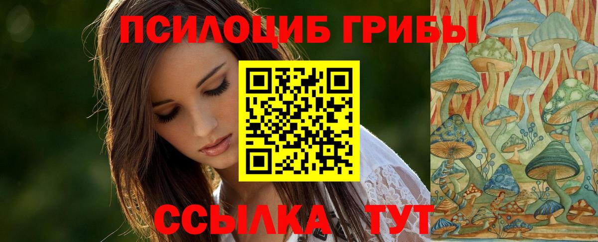 Псилоцибиновые грибы Cubensis Мелеуз